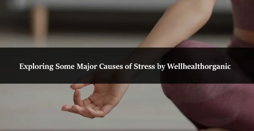 Exploring Some Major Causes of Stress by Wellhealthorganic
