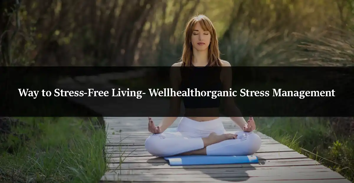 Way to Stress-Free Living- Wellhealthorganic Stress Management