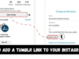 How to add a Tumblr link to your Instagram bio