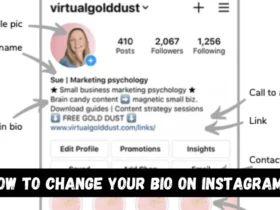 How to change your bio on Instagram