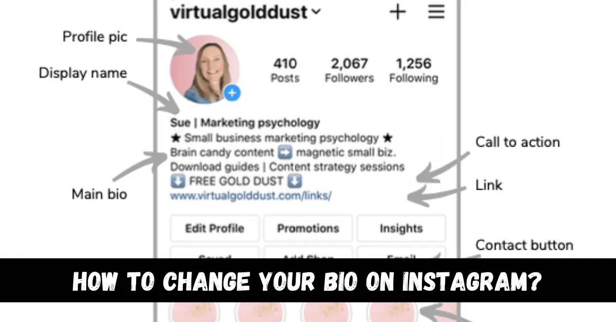 How to change your bio on Instagram