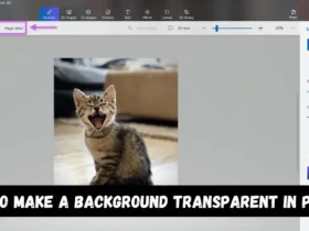 How to make a background transparent in Paint