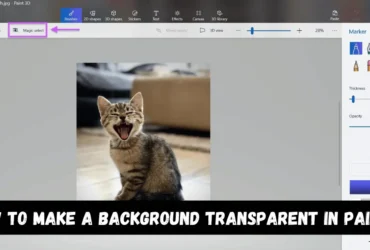 How to make a background transparent in Paint