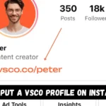 How to put a VSCO profile on Instagram